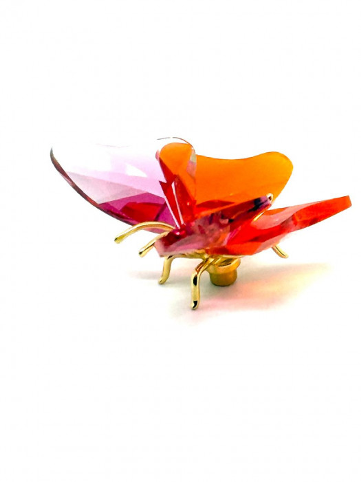 Swarovski Paradise Insect Abala — хрустальная бабочка в интерьере